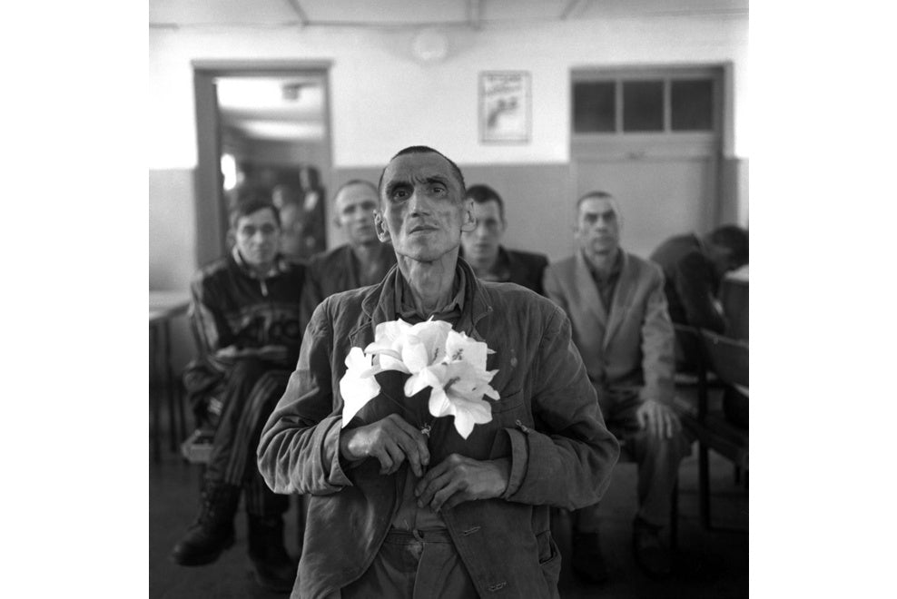 ALEXANDER CHEKMENEV: LILIES