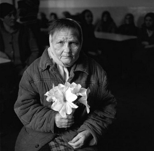 ALEXANDER CHEKMENEV: LILIES