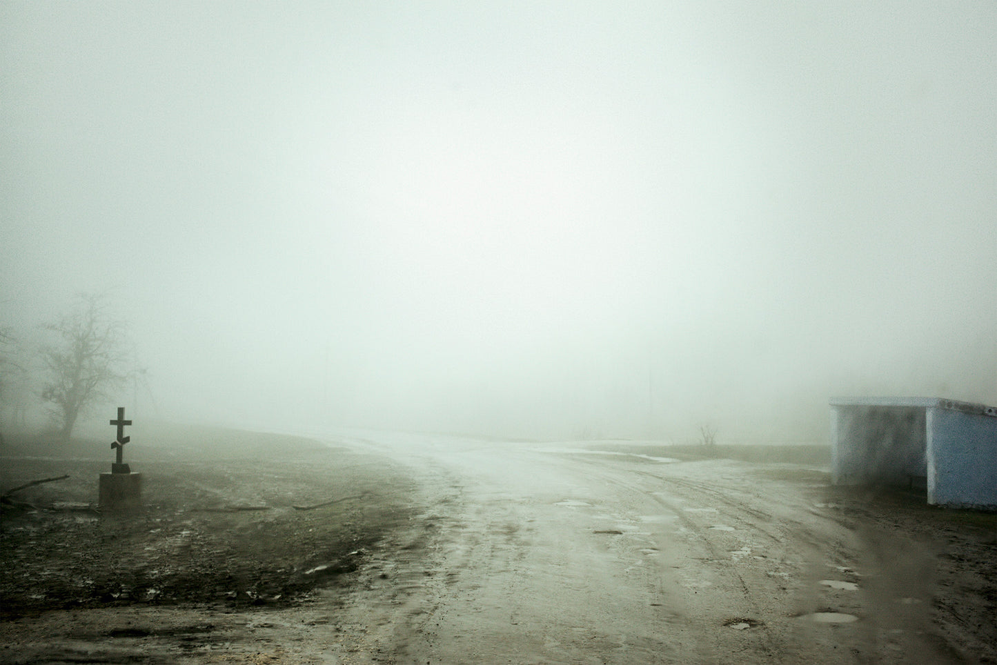 FLORIAN BACHMEIER: IN LIMBO