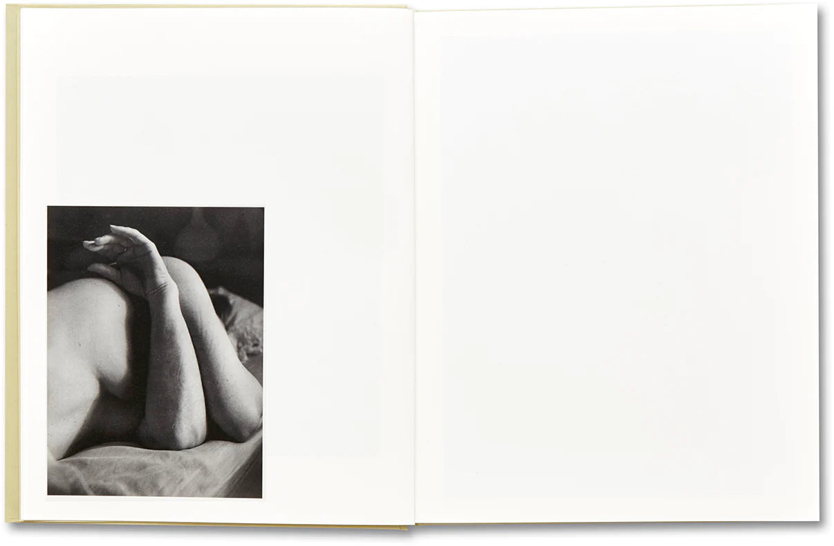 RAYMOND MEEKS: CIPRIAN HONEY CATHEDRAL