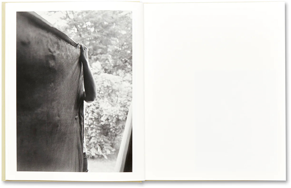RAYMOND MEEKS: CIPRIAN HONEY CATHEDRAL