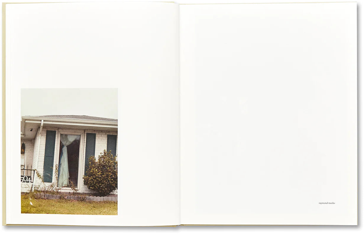 RAYMOND MEEKS: CIPRIAN HONEY CATHEDRAL