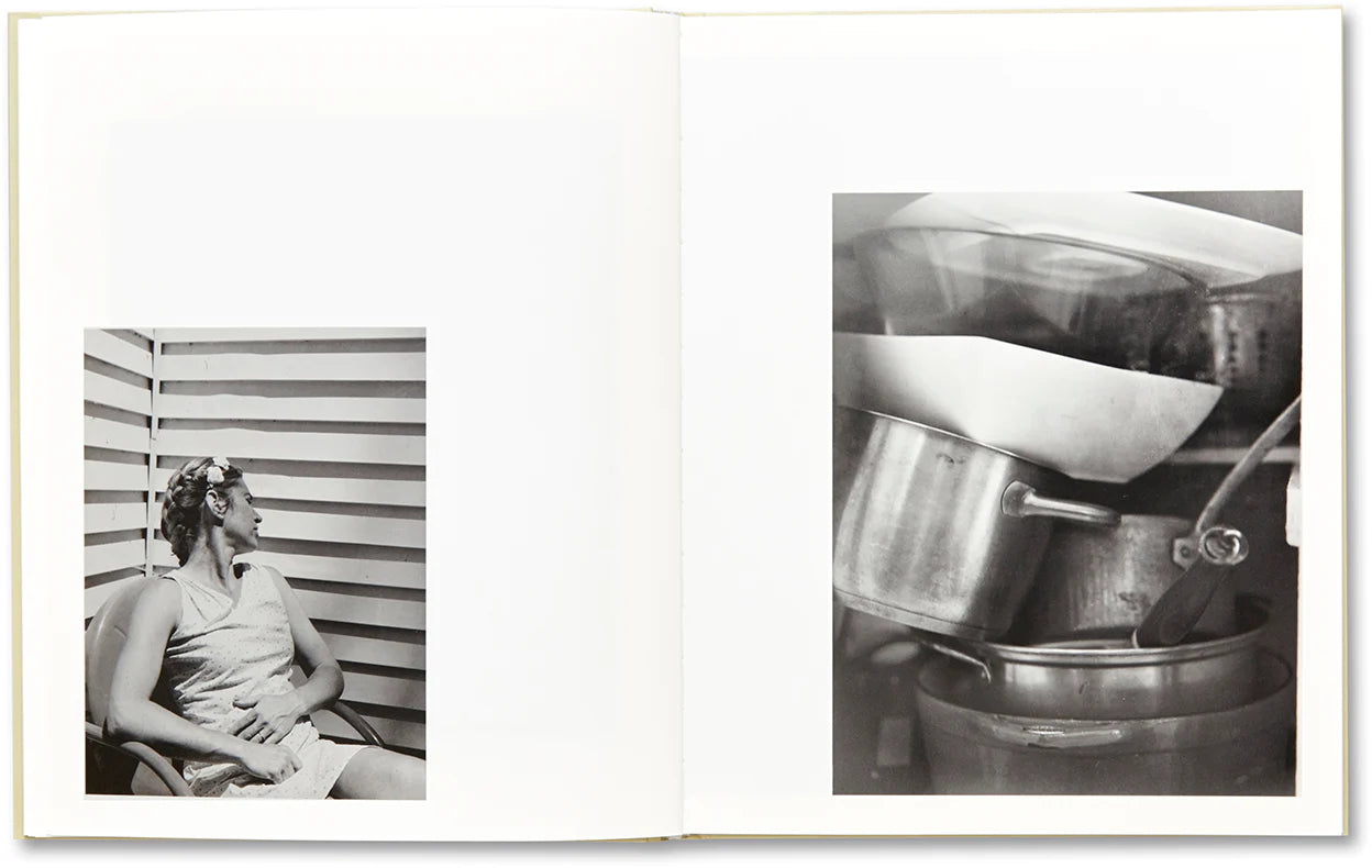 RAYMOND MEEKS: CIPRIAN HONEY CATHEDRAL