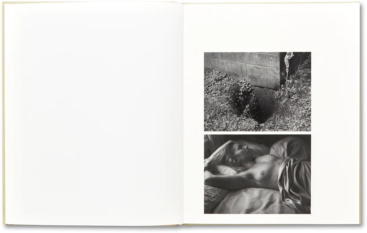 RAYMOND MEEKS: CIPRIAN HONEY CATHEDRAL