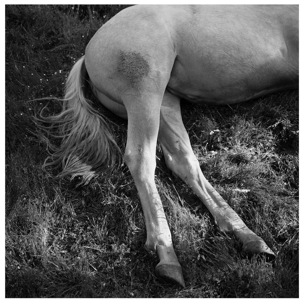 MIMI PLUMB: MEGALITH-STILL