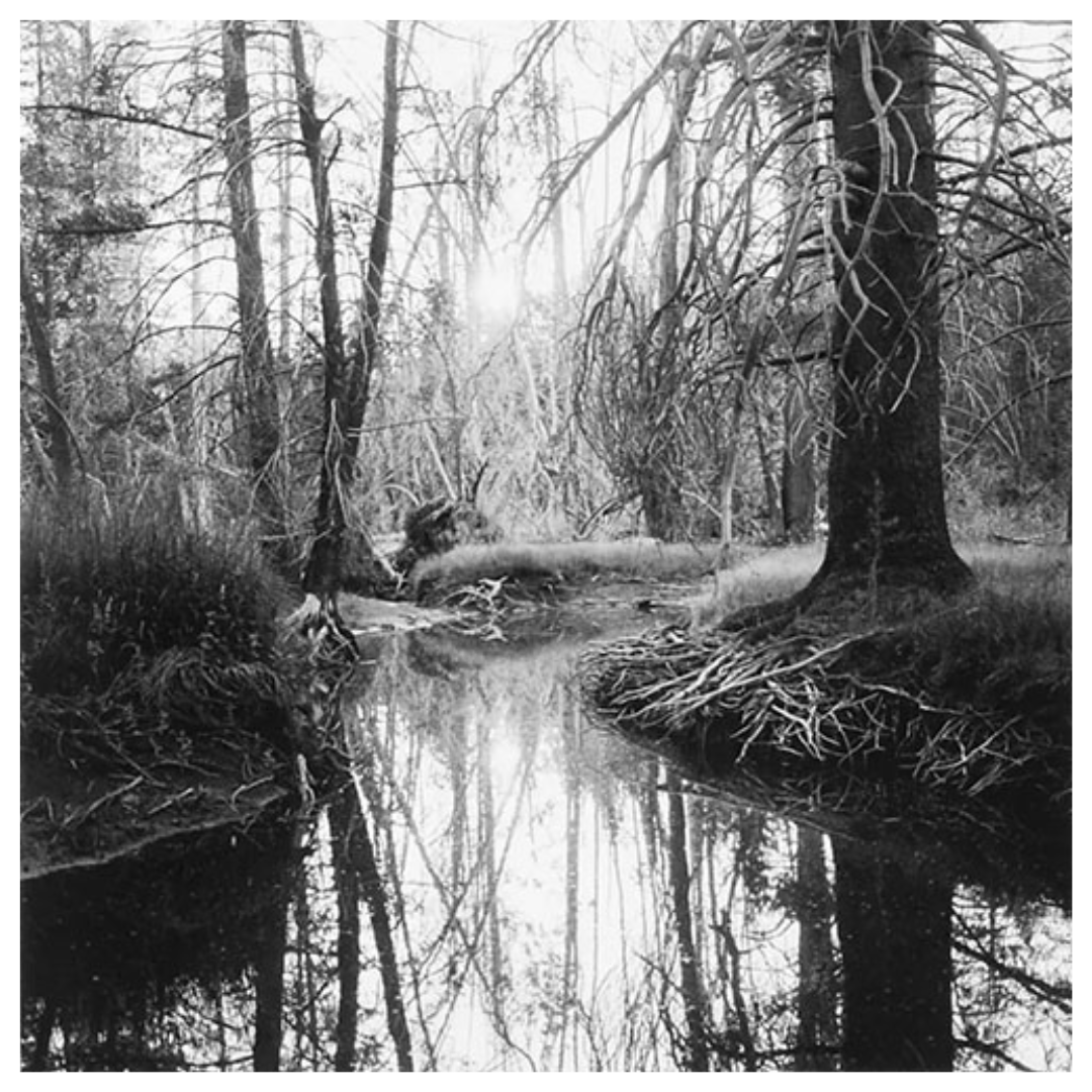 MIMI PLUMB: MEGALITH-STILL