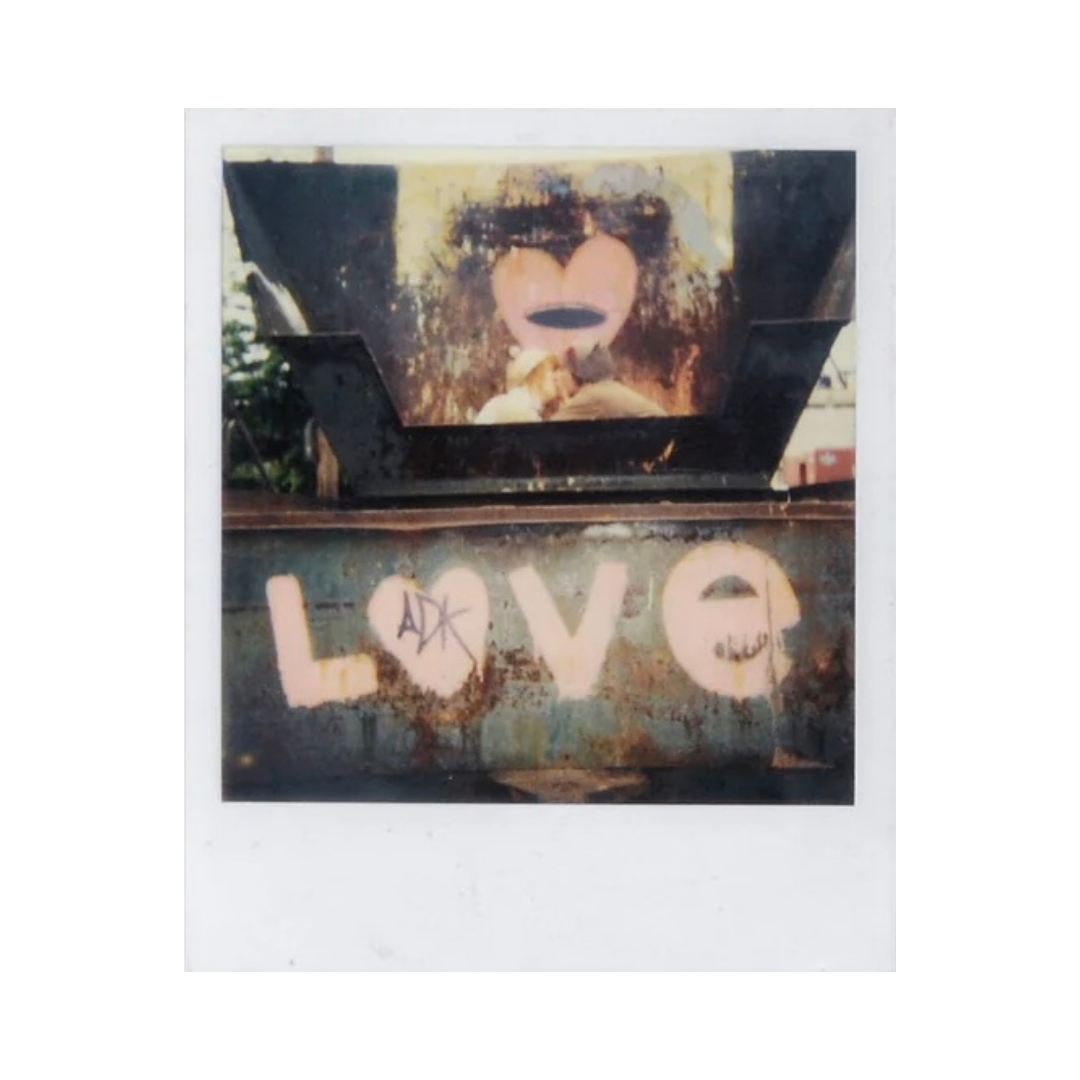 MIKE BRODIE: POLAROID KID