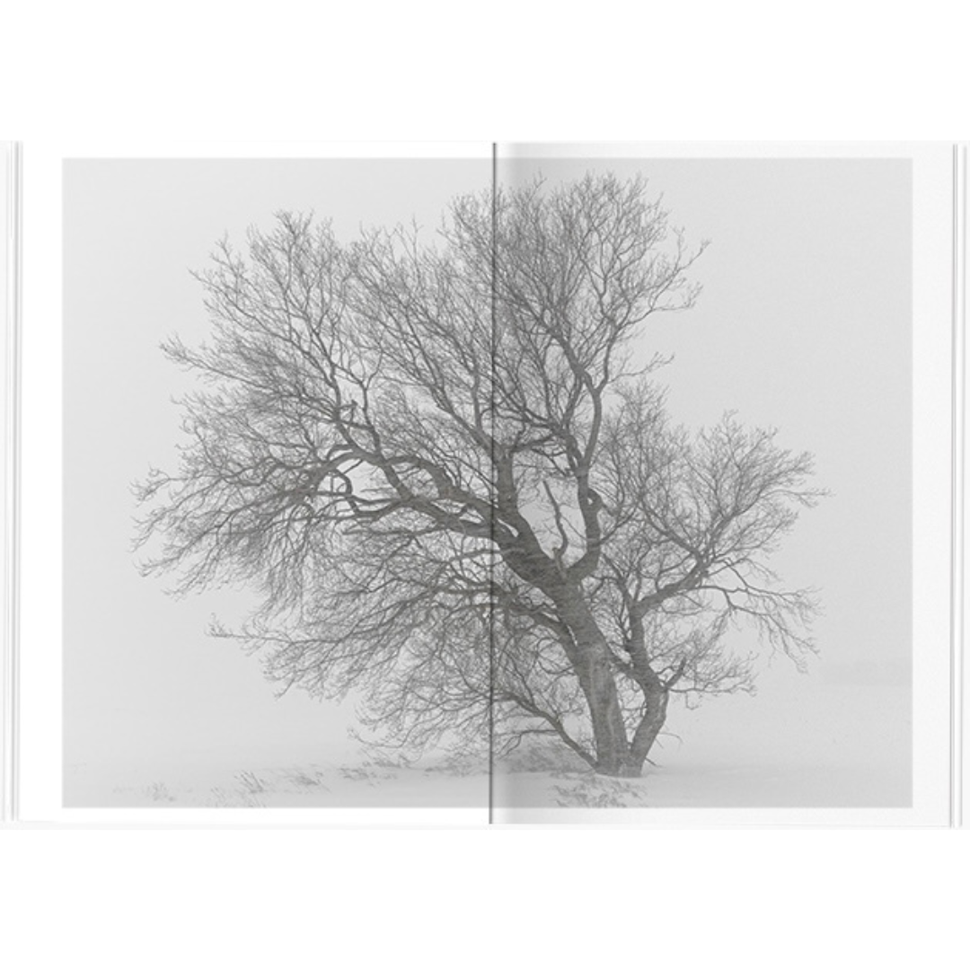 ANGELA BOEHM: MINUS THIRTY