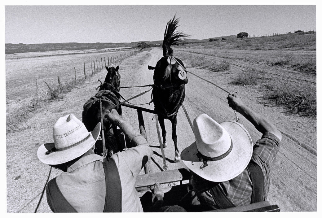LARRY TOWELL: THE MENNONITES