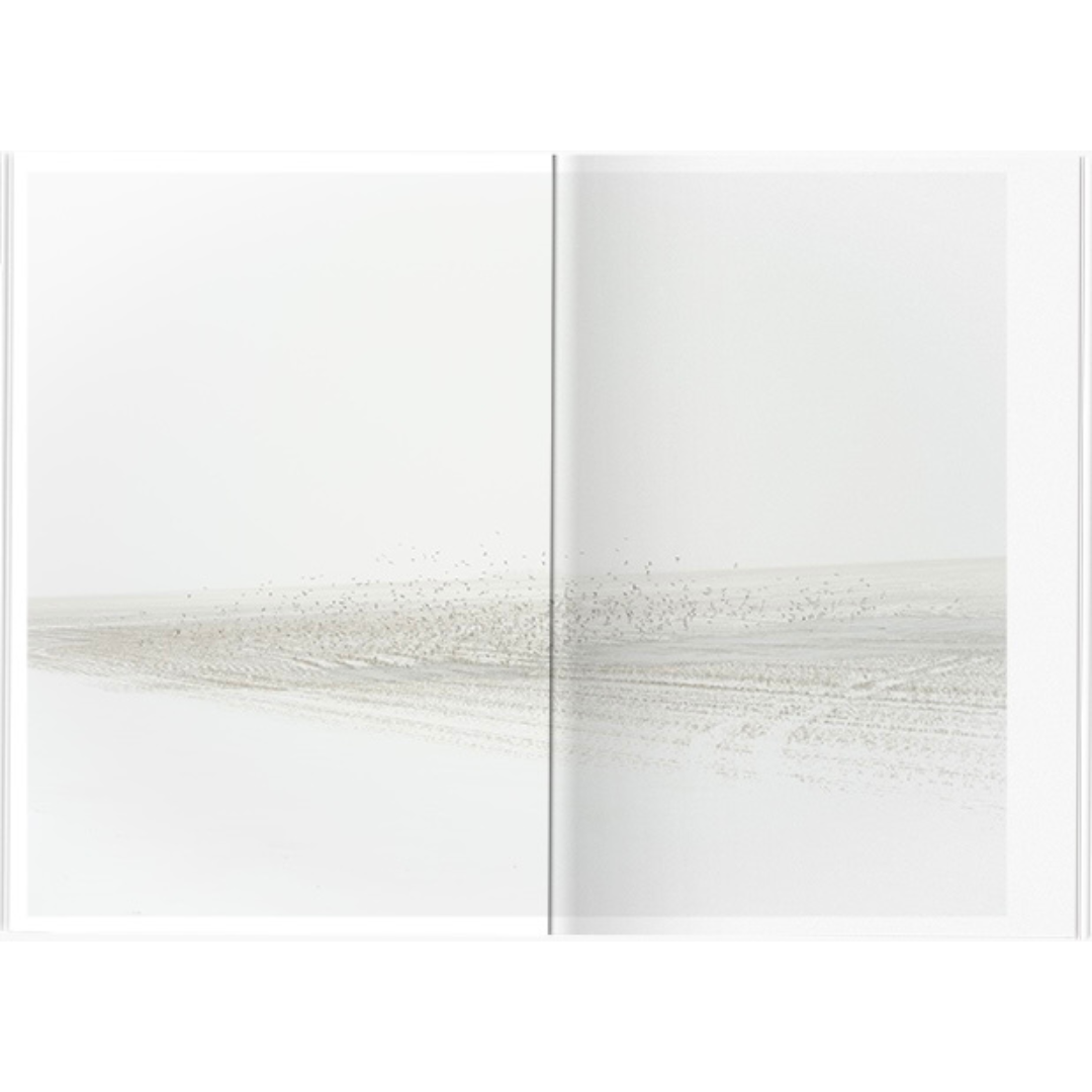 ANGELA BOEHM: MINUS THIRTY