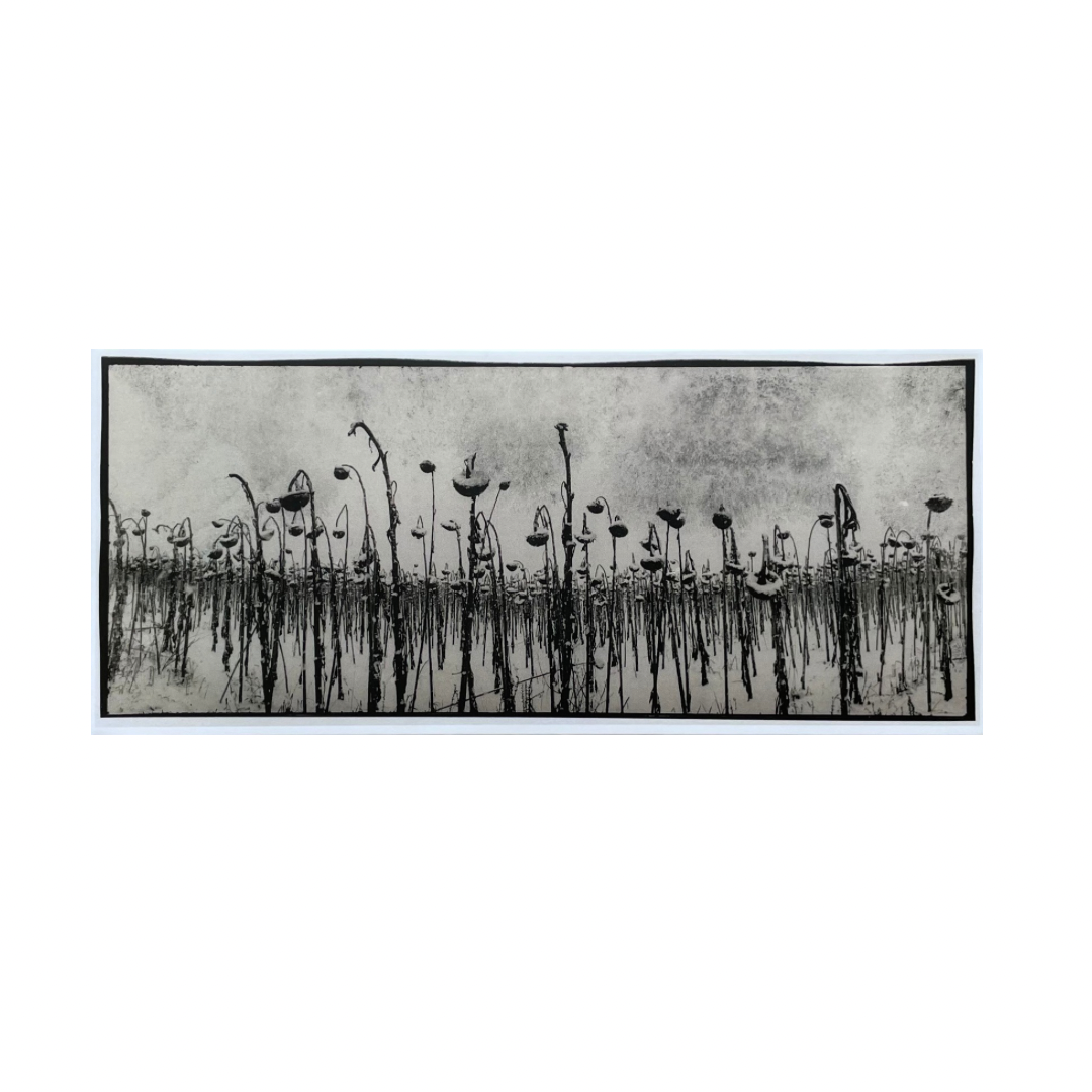 VLADYSLAV KRASNOSHCHOK: PANORAMAS (documentation of the war)