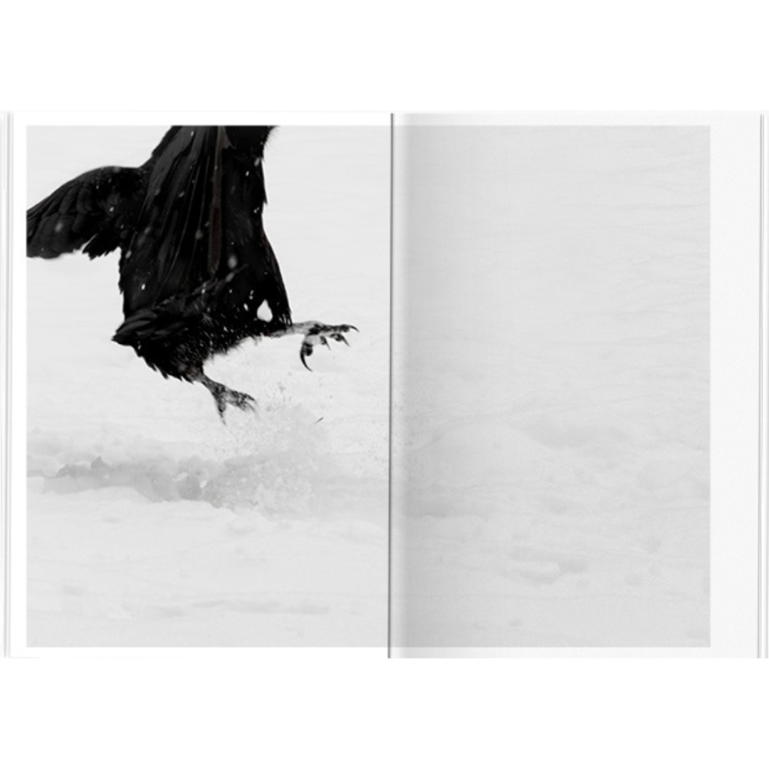 ANGELA BOEHM: MINUS THIRTY