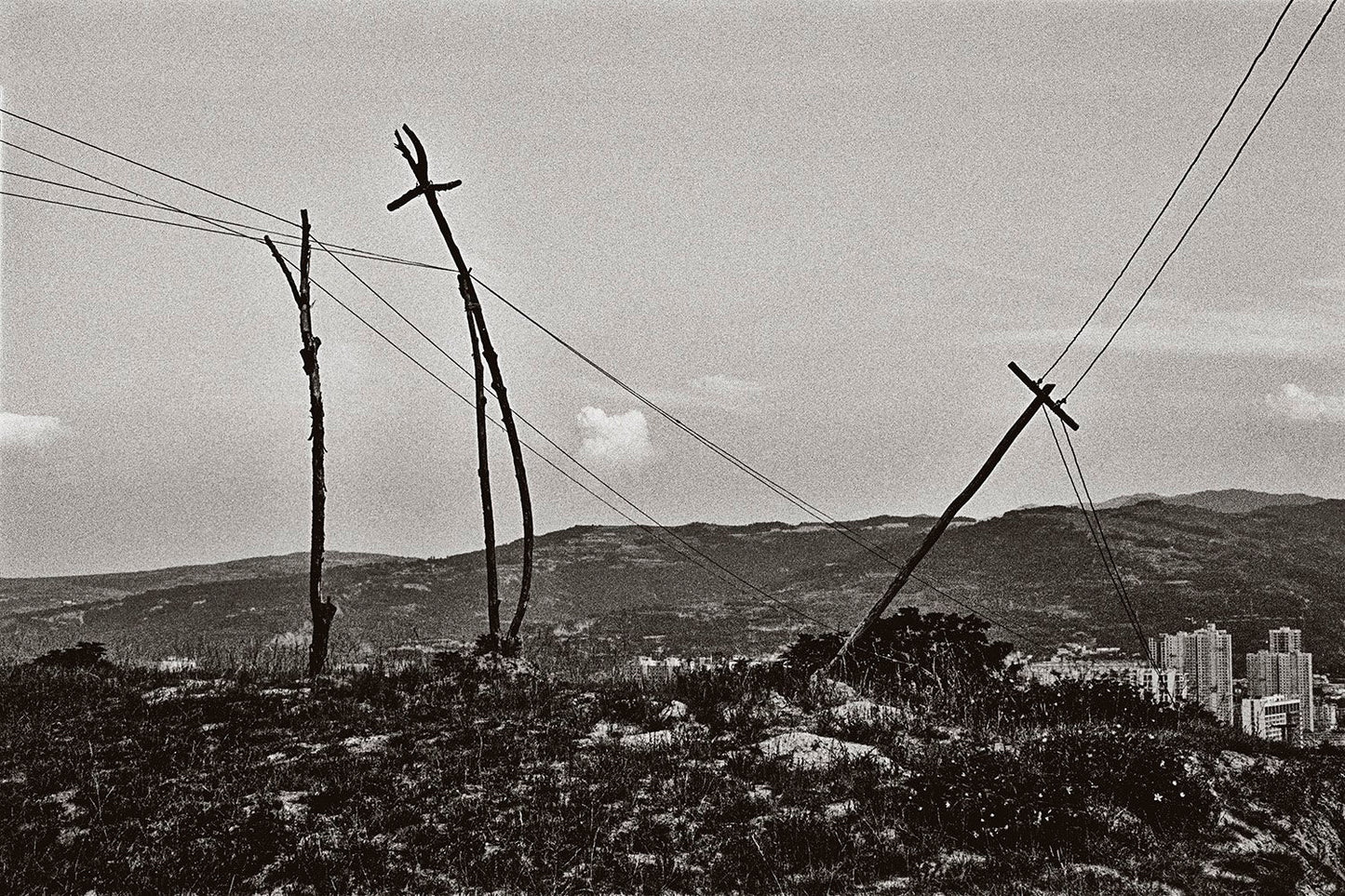 KIM THUE: LODE