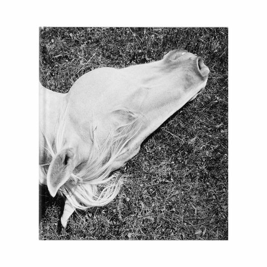 MIMI PLUMB: MEGALITH-STILL