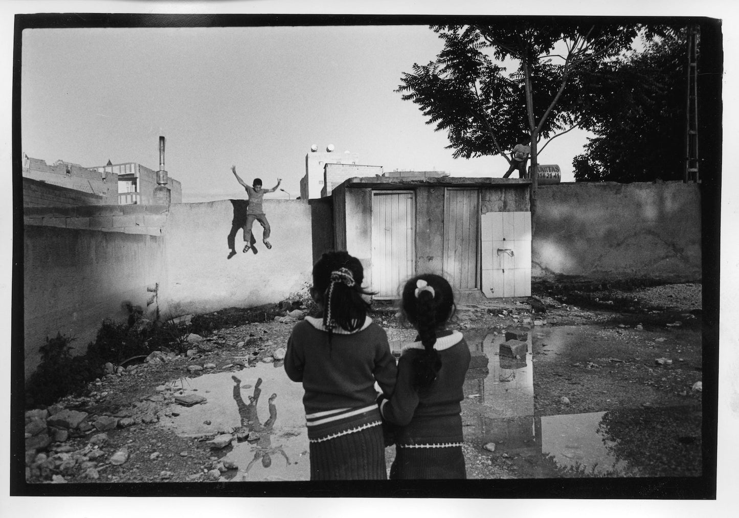 JASON ESKENAZI: BLACK GARDEN