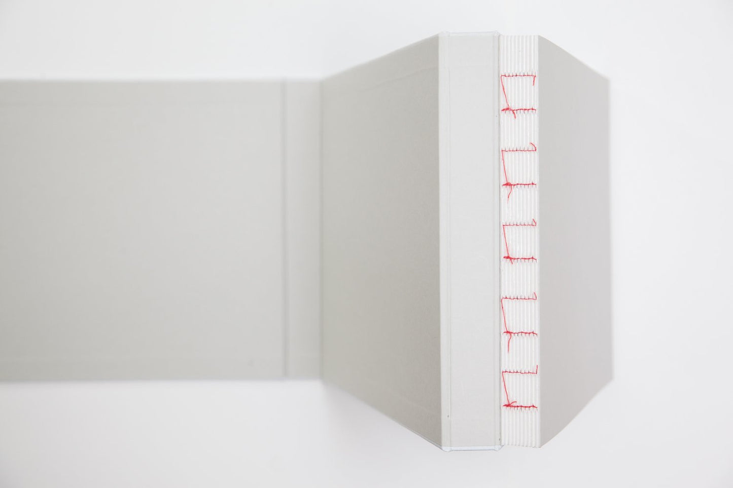 FYODOR TELKOV AND SERGEY POTERYAEV: NORTH LINE (SIGNED)